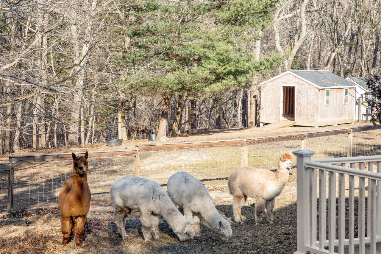 Lambert'S Cove Inn & Resort West Tisbury ภายนอก รูปภาพ
